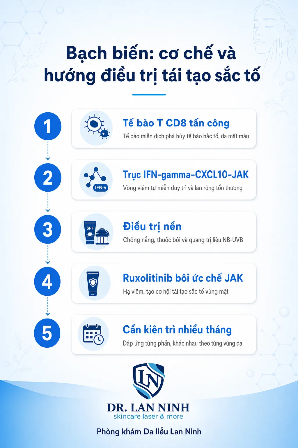 Cơ chế tự miễn và hướng điều trị bạch biến: trục IFN-gamma–CXCL10–JAK và vai trò ruxolitinib bôi