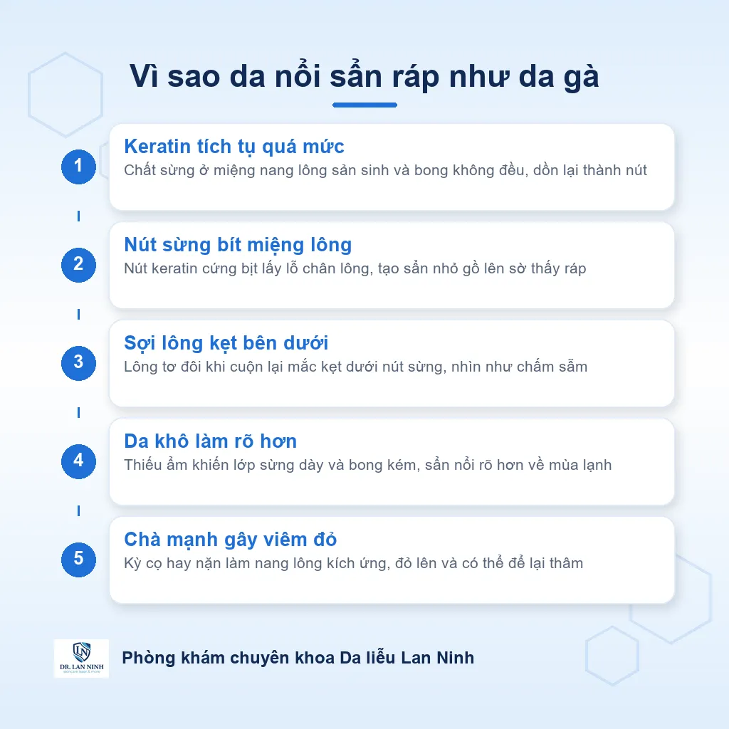 Sơ đồ cơ chế dày sừng nang lông: nút sừng keratin bít miệng nang lông tạo sẩn nhỏ ráp như da gà ở cánh tay