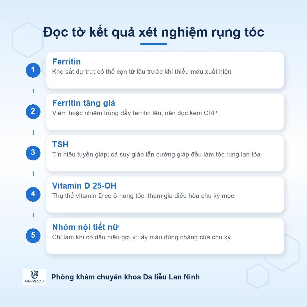 Sơ đồ giải nghĩa các chỉ số xét nghiệm khi khám rụng tóc: ferritin đo kho sắt dự trữ, công thức máu, TSH tuyến giáp, vitamin D và nhóm nội tiết nữ, kèm lưu ý ferritin tăng giả khi có viêm