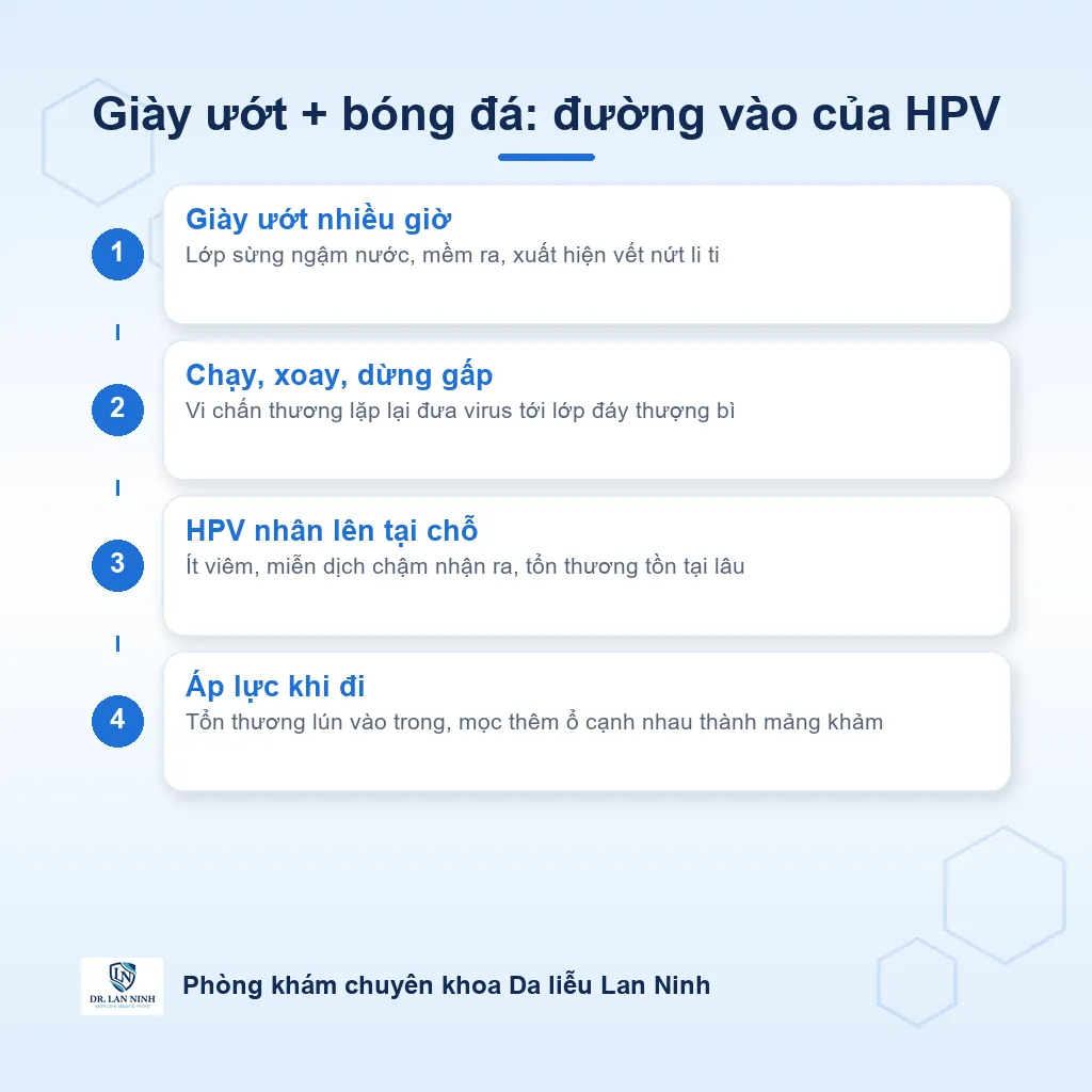 Sơ đồ cơ chế hình thành mụn cóc lòng bàn chân dạng khảm ở người đá bóng đi giày ướt