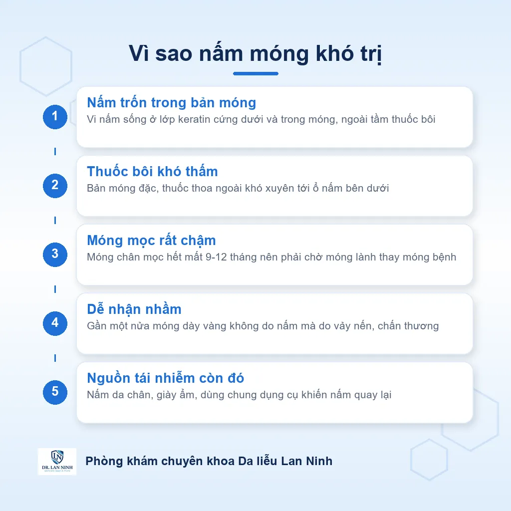 Sơ đồ vì sao nấm móng khó điều trị: nấm nằm trong bản móng, thuốc bôi khó thấm, móng mọc chậm