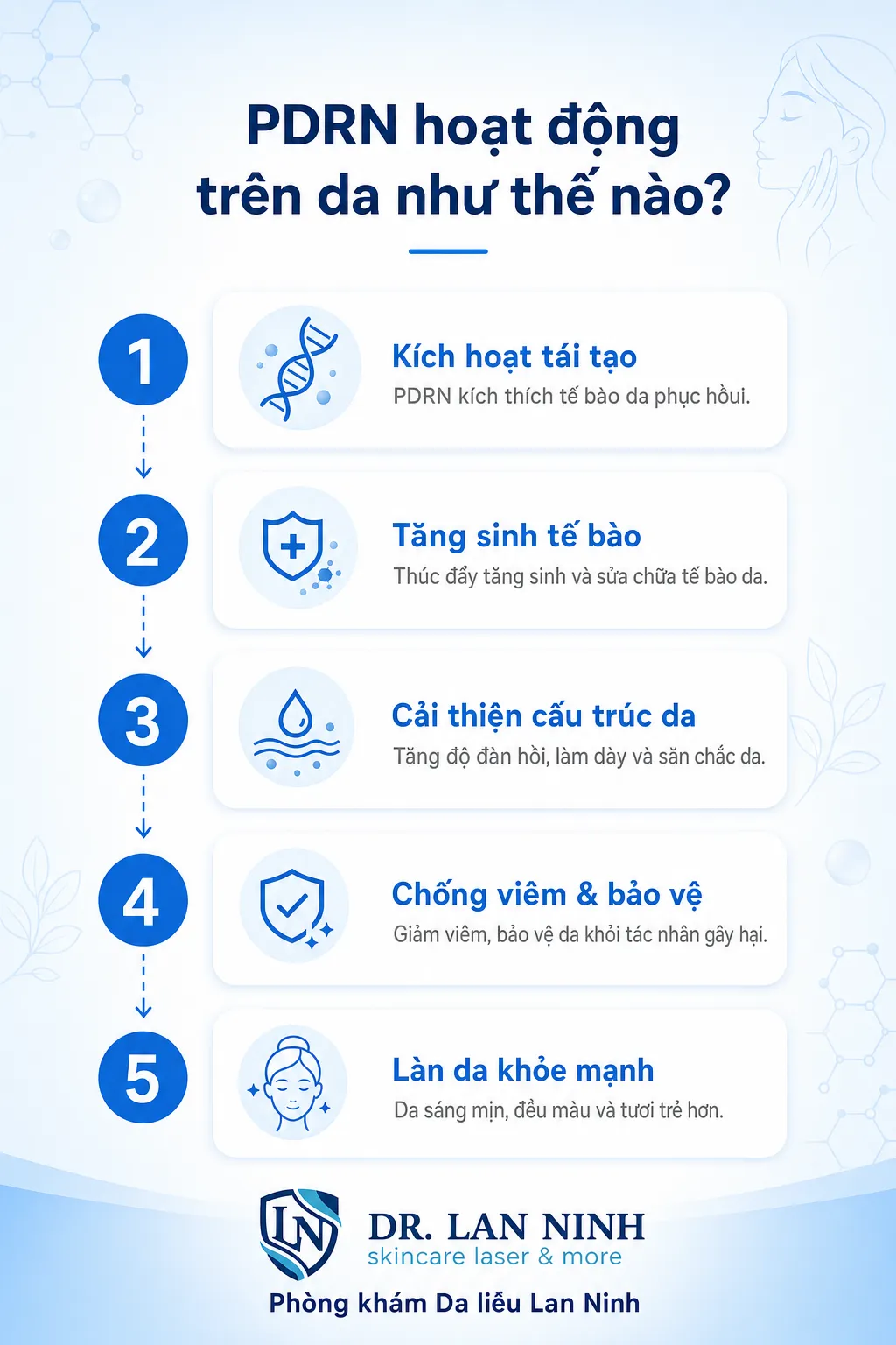 Cơ chế PDRN trẻ hóa da: hoạt hóa thụ thể adenosine A2A giúp chống viêm, kích thích tạo mạch và nguyên bào sợi