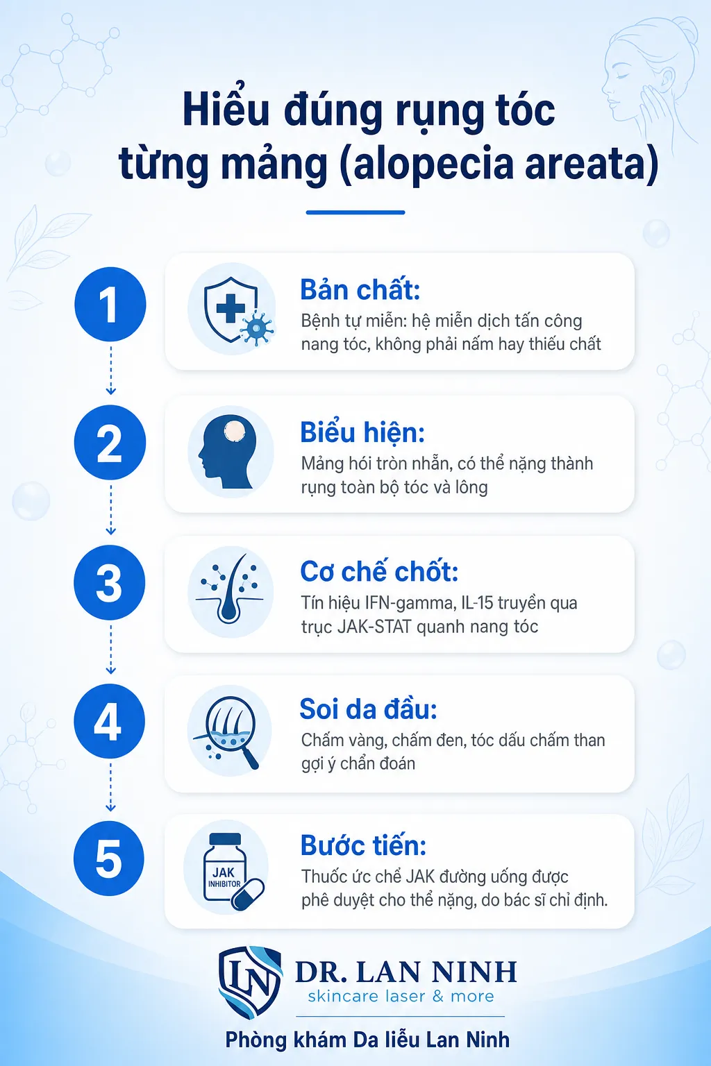 Infographic rụng tóc từng mảng (alopecia areata): bệnh tự miễn quanh nang tóc qua trục JAK-STAT, dấu hiệu soi da gồm chấm vàng chấm đen tóc dấu chấm than, điều trị kinh điển corticoid và bước tiến thuốc ức chế JAK đường uống cho thể nặng