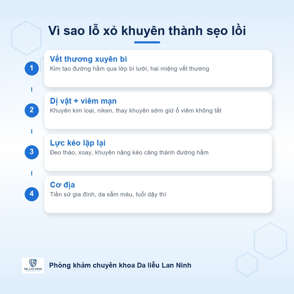 Sơ đồ cơ chế hình thành sẹo lồi vành tai sau xỏ khuyên