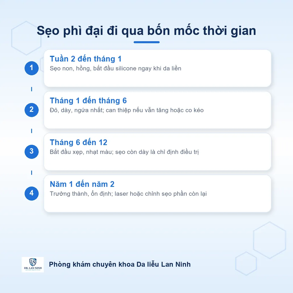 Sơ đồ diễn tiến sẹo phì đại sau bỏng và phẫu thuật theo từng mốc thời gian
