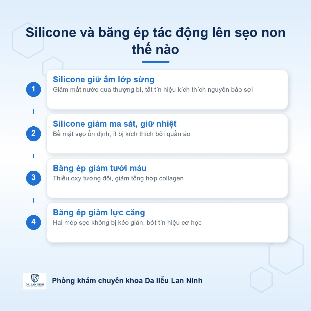 Sơ đồ cơ chế silicone và băng ép trong dự phòng sẹo lồi