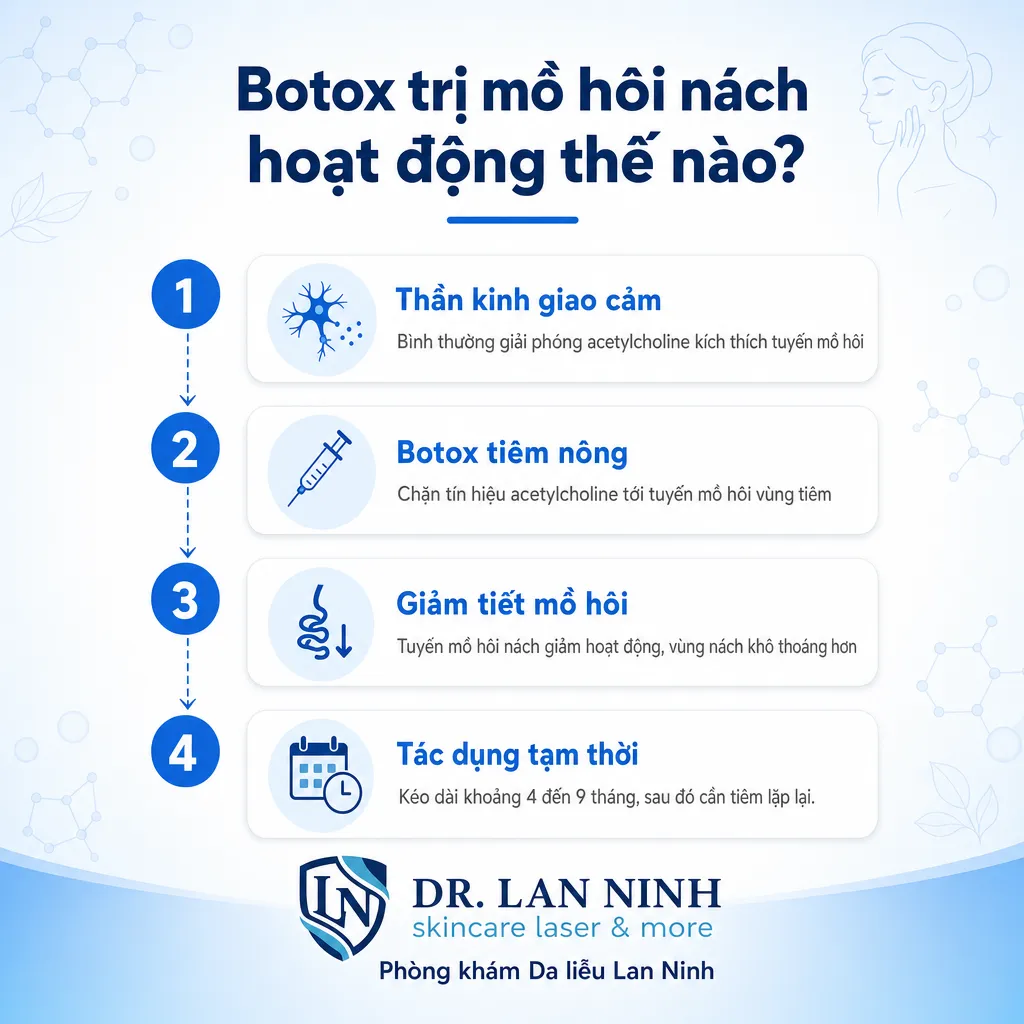 Cơ chế botox trị mồ hôi nách: ức chế acetylcholine làm giảm tiết mồ hôi tuyến mồ hôi vùng nách