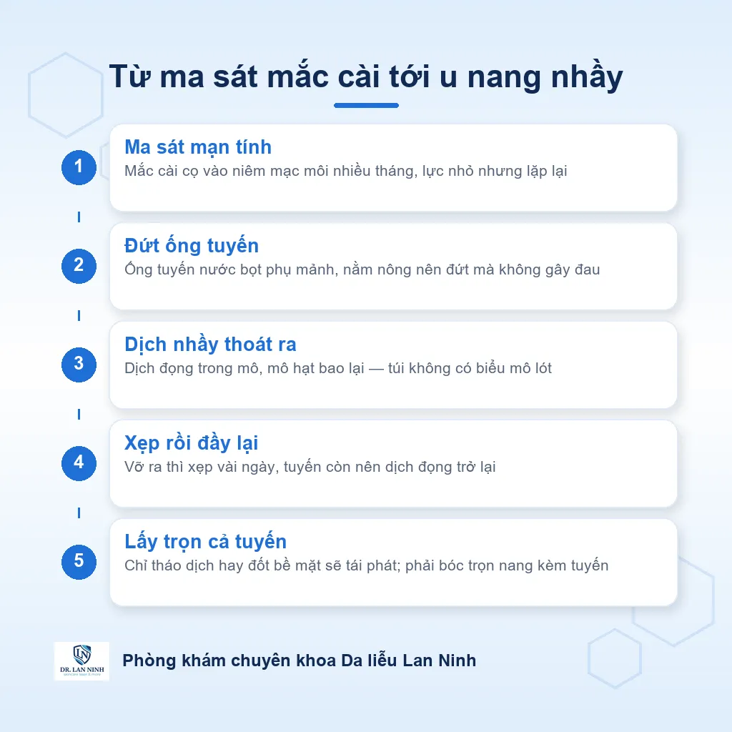 Sơ đồ cơ chế hình thành u nang nhầy môi dưới: ma sát mắc cài làm đứt ống tuyến nước bọt phụ, dịch nhầy thoát ra đọng lại thành khối phồng, chỉ hết khi lấy trọn tuyến tổn thương.