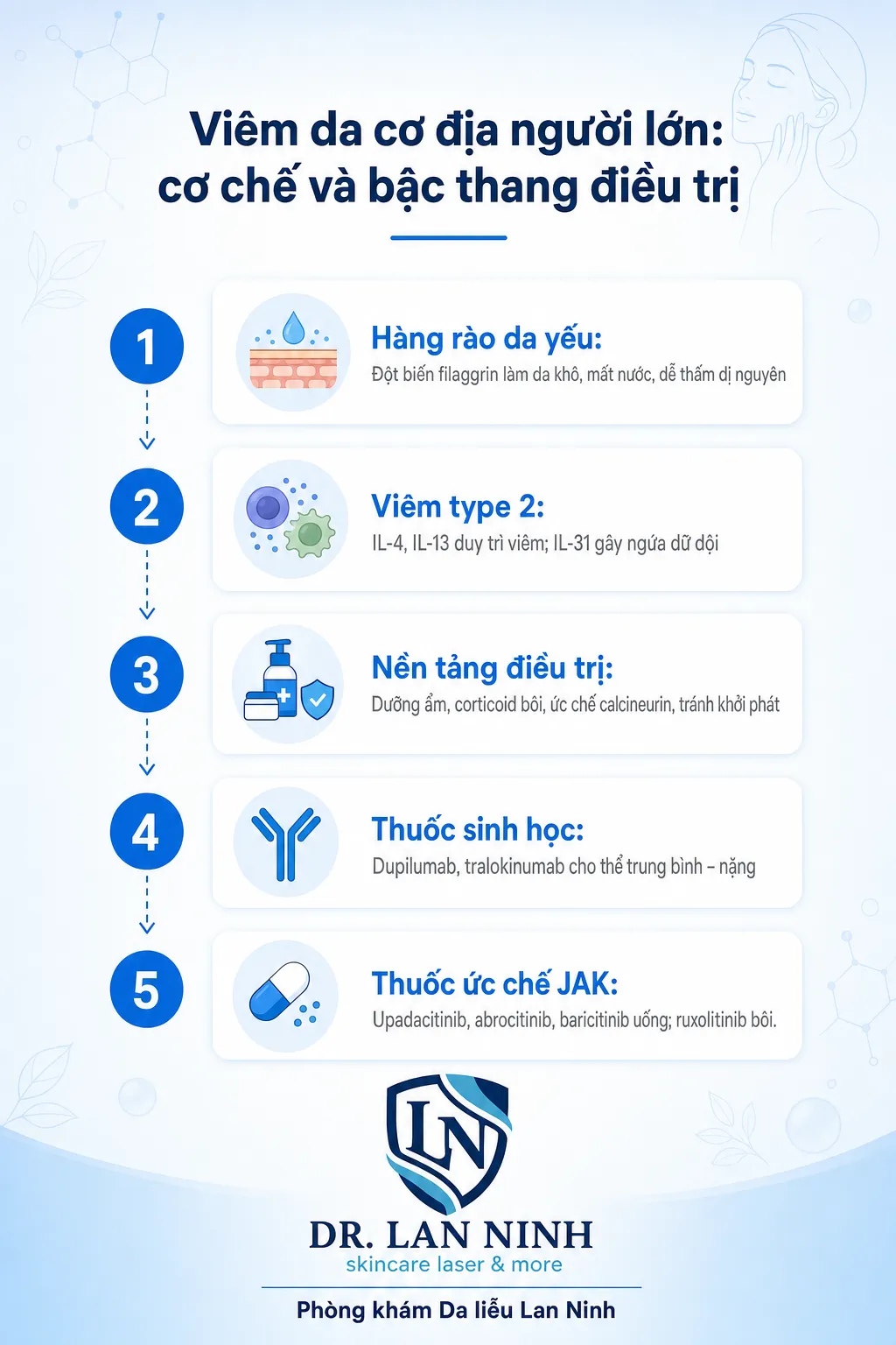 Infographic cơ chế và điều trị viêm da cơ địa ở người lớn: rối loạn hàng rào da filaggrin, viêm type 2 IL-4 IL-13 IL-31, nền tảng dưỡng ẩm và thuốc bôi, bước tiến thuốc sinh học và thuốc ức chế JAK cho thể trung bình nặng