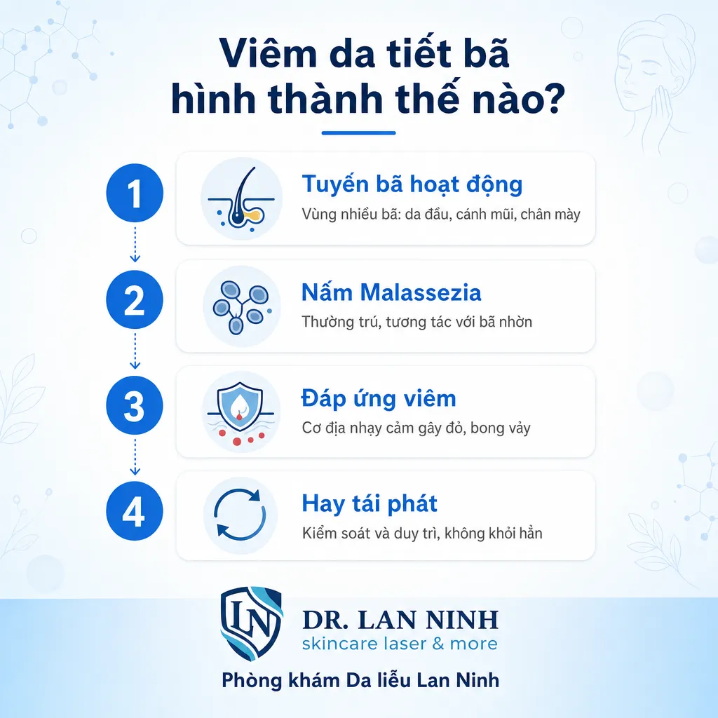 Cơ chế viêm da tiết bã với vai trò tuyến bã, nấm Malassezia và đáp ứng viêm
