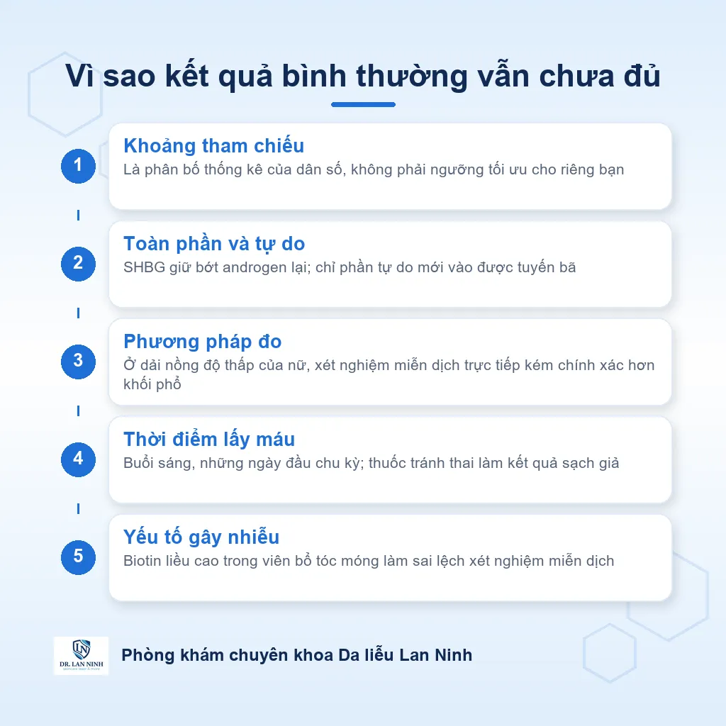 Sơ đồ cách đọc xét nghiệm nội tiết trong mụn: androgen toàn phần, phần bị SHBG giữ lại và phần tự do tác động lên tuyến bã