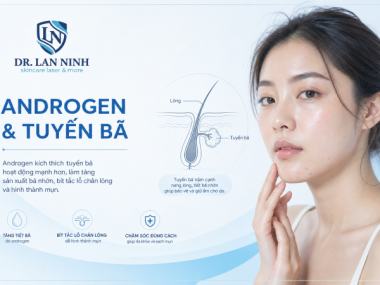 ANDROGEN VÀ TUYẾN BÃ NHỜN: SINH BỆNH HỌC MỤN TRỨNG CÁ