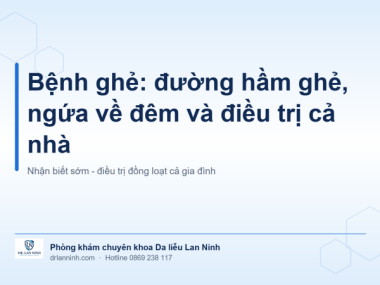 BỆNH GHẺ: ĐƯỜNG HẦM GHẺ, NGỨA ĐÊM VÀ ĐIỀU TRỊ CẢ NHÀ