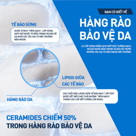 Cerave Moisturising Cream 340g
