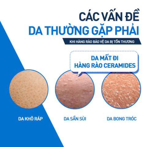 Cerave Moisturising Cream 340g