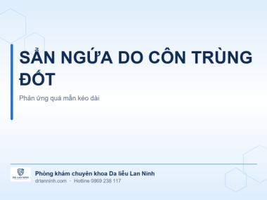 SẨN NGỨA DO CÔN TRÙNG ĐỐT: PHẢN ỨNG QUÁ MẪN KÉO DÀI